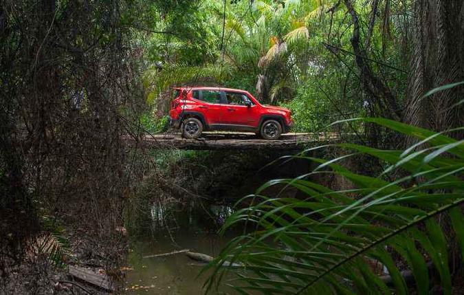 Trilha incluiu areia fofa, gua e mata fechada (foto: Marcos Camargo/Divulgacao)