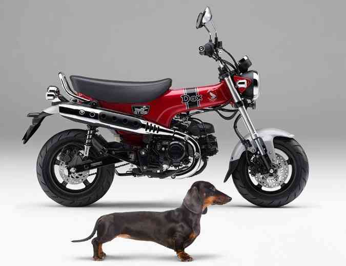 O modelo é comparado ao cão da raça Dachshund, o salsicha, com pernas curtas e corpo longo(foto: Honda/Divulgação)
