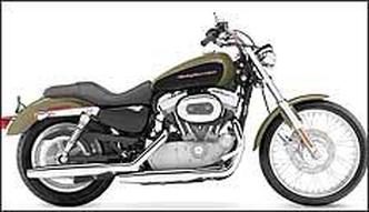 Harley-Davidson - Filhotão econômico - Vrum