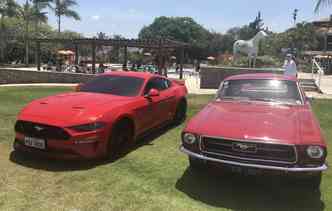 Qual o modelo do Mustang mais caro da foto? (foto: Thaina Nogueira / DP)