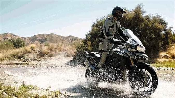(foto: Triumph/Divulgação) (foto: Triumph/Divulgação)