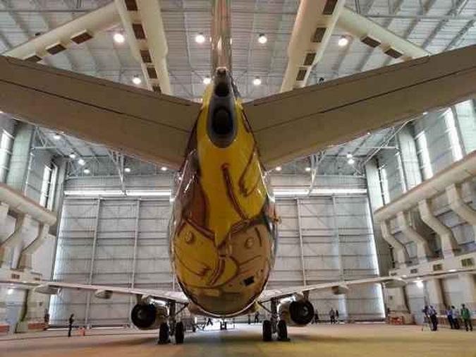 Boeing 737 da Seleção Brasileira na Copa do Mundo 2014Thiago Ventura/EM/D.A PRESS Boeing 737 da Seleção Brasileira na Copa do Mundo 2014Thiago Ventura/EM/D.A PRESS